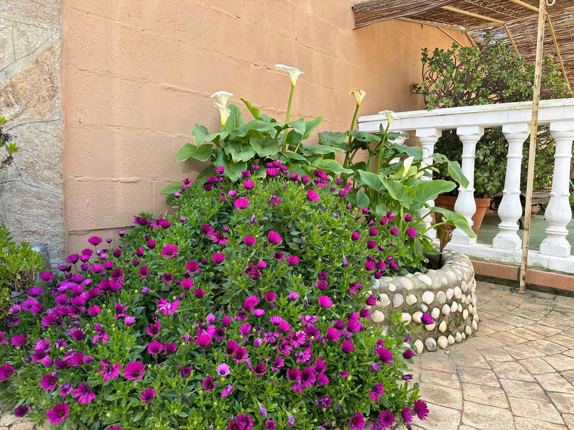 Apartament Aguacate Chiclana de la Frontera