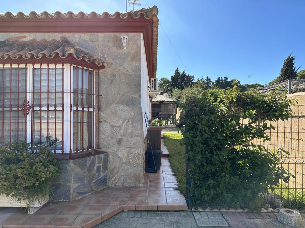 Aguacate Chiclana de la Frontera